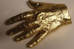 Hand2020